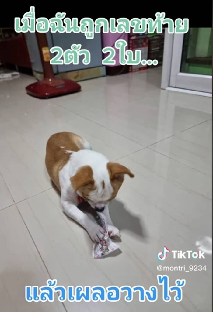 ถูกลอตเตอรี่ ถูกลอตเตอรี่