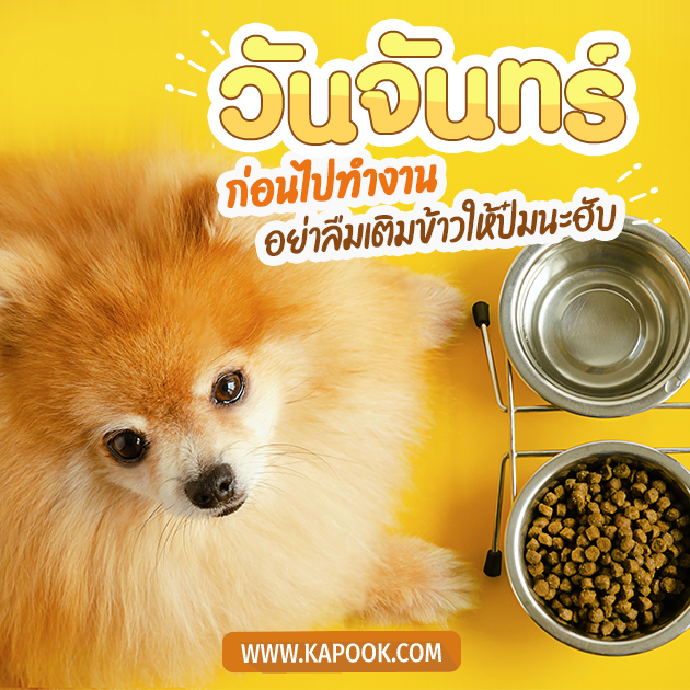 ดูดวงรายวัน วันที่ 27 มีนาคม 2566 ดูดวงรายวัน วันที่ 27 มีนาคม 2566