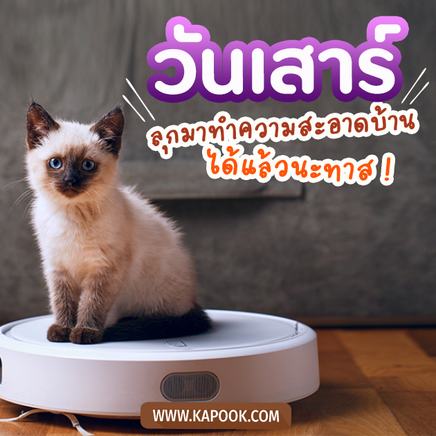 ดูดวงรายวัน วันที่ 13 พฤษภาคม 2566 ดูดวงรายวัน วันที่ 13 พฤษภาคม 2566