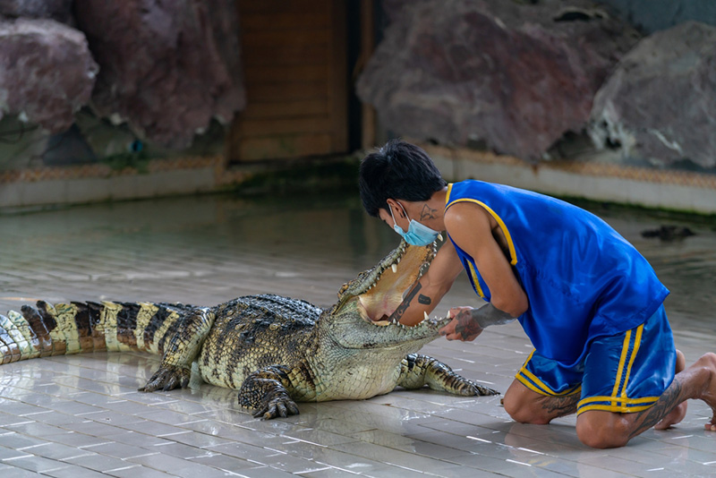 หัวหิน Hua Hin Safari & Adventure Park