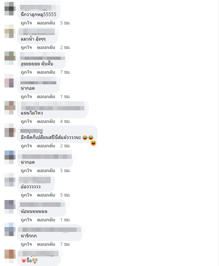 คอมเมนต์ คอมเมนต์