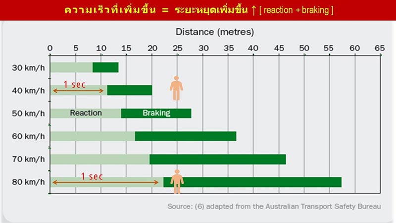 ดื่มไม่ขับ ระยะยการตอบสนองเมื่อดื่มแอลกอฮอล์