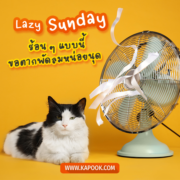 ดูดวงรายวัน ดูดวงรายวัน