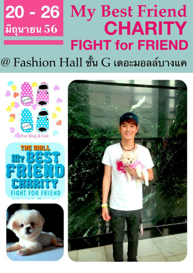 My Best Friend Charity 2013 วันที่ 20-26 มิ.ย.