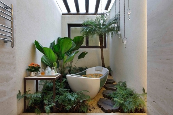 จัดสวนในห้องน้ำ ปลูกต้นไม้ในห้องน้ำ
