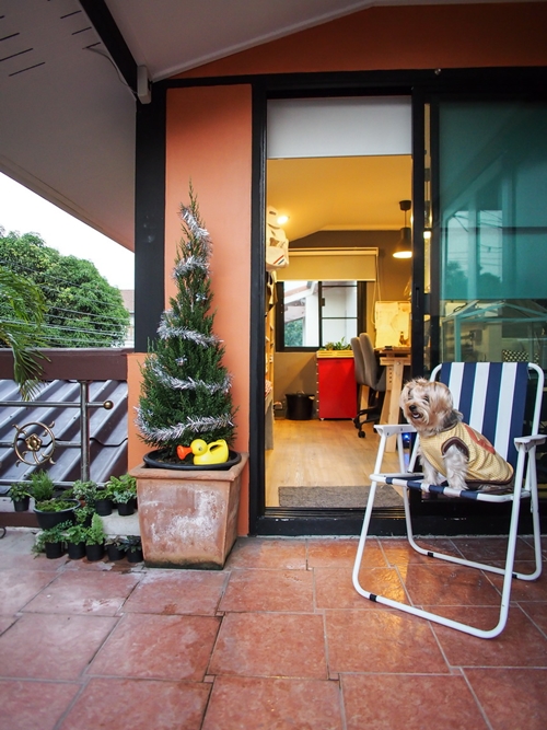 รีโนเวทห้องนอนเป็นห้องทำงานในตัว สวยขึ้นเยอะเลยอะ ! รีโนเวทห้องนอนเป็นห้องทำงานในตัว สวยขึ้นเยอะเลยอะ !