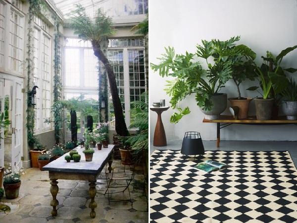 25 สวนในบ้านสวย ๆ ไอเดียจัดสวนในบ้าน 25 สวนในบ้านสวย ๆ ไอเดียจัดสวนในบ้าน
