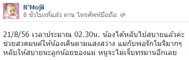 น้องโมจิ เสียชีวิตแล้ว น้องโมจิ เสียชีวิตแล้ว