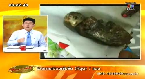ไส้กรอกแมว