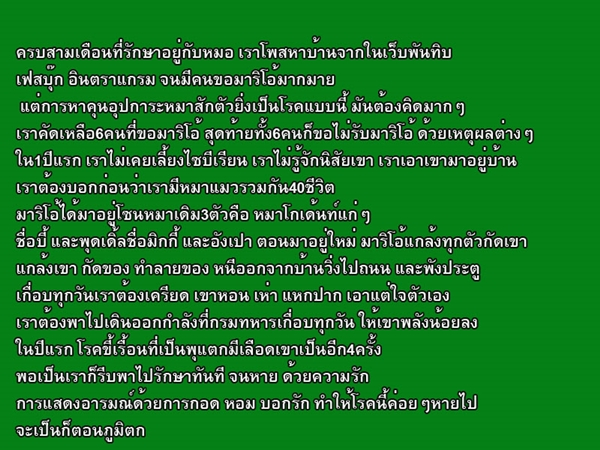 จากไซบีเรียนที่โดนปล่อยวัด 2 ปีก่อน ตอนนี้เปลี่ยนไปเพราะ 