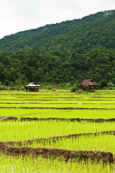 ปาย แม่ฮ่องสอน