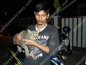 กะเทยเมาเตะแมวกระเด็น เจ้าของโร่แจ้งตำรวจจับ กะเทยเมาเตะแมวกระเด็น เจ้าของโร่แจ้งตำรวจจับ