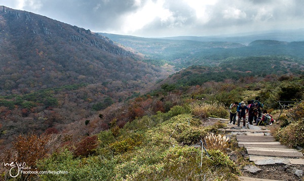 เกาะเชจู