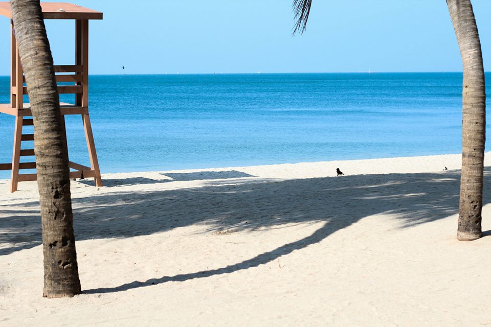 หาดบางแสนโฉมใหม่ หาดบางแสนโฉมใหม่