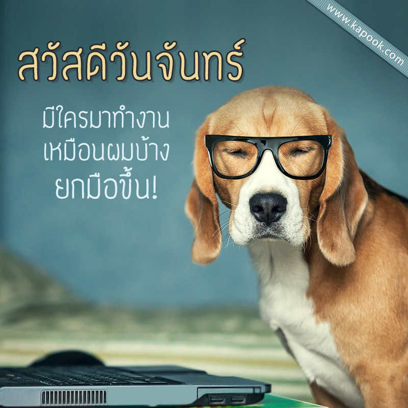 ดูดวงรายวัน วันที่ 11 สิงหาคม 2557 ดูดวงรายวัน วันที่ 11 สิงหาคม 2557