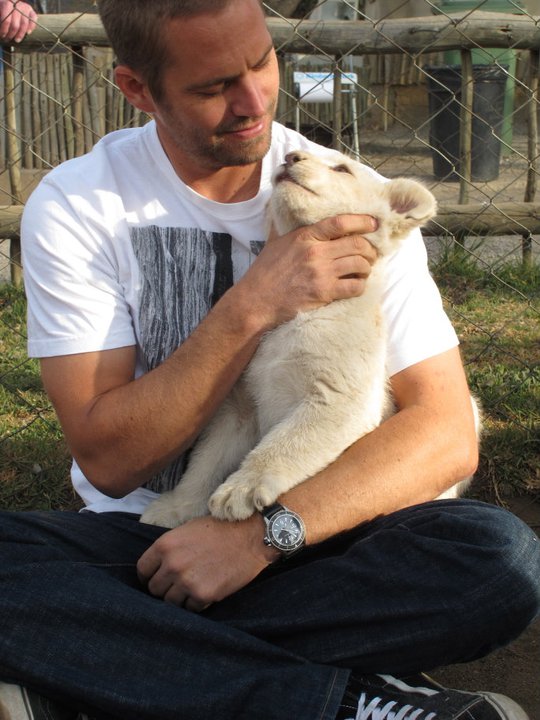 Paul Walker Paul Walker