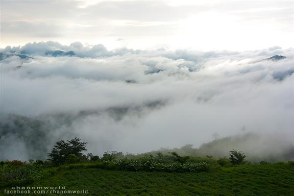 ทริปสายหมอกและขุนเขา