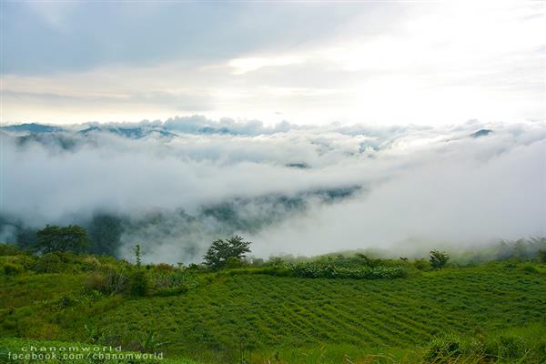 ทริปสายหมอกและขุนเขา