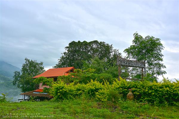 ทริปสายหมอกและขุนเขา