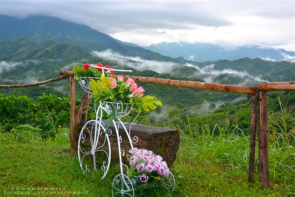 ทริปสายหมอกและขุนเขา