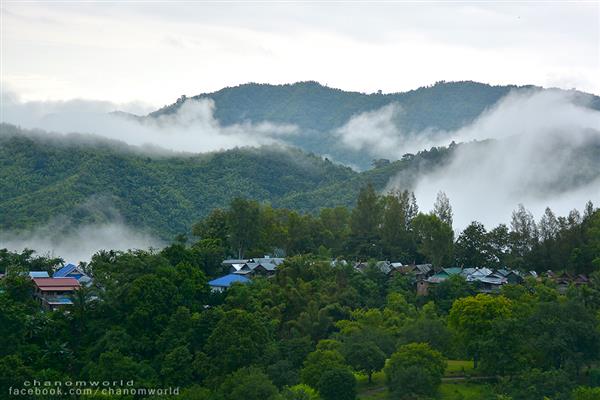 ทริปสายหมอกและขุนเขา