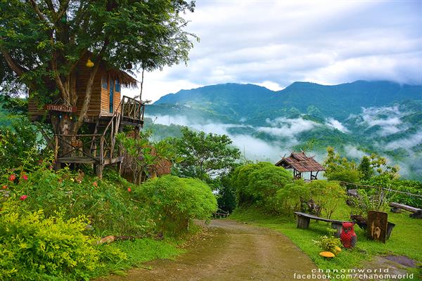 ทริปสายหมอกและขุนเขา