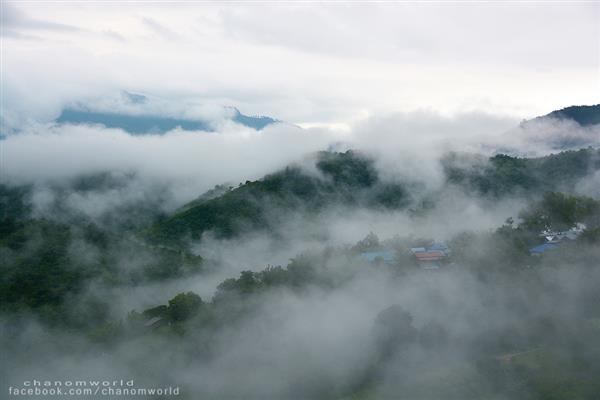 ทริปสายหมอกและขุนเขา