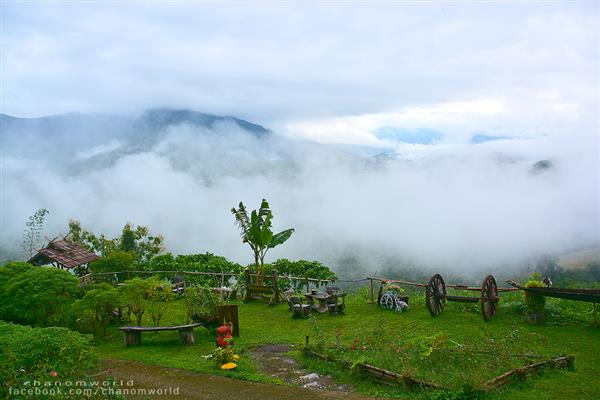 ทริปสายหมอกและขุนเขา