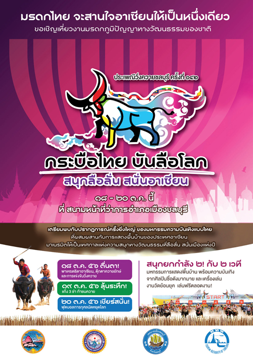 ประเพณีวิ่งควายชลบุรี 2556 ประเพณีวิ่งควายชลบุรี 2556