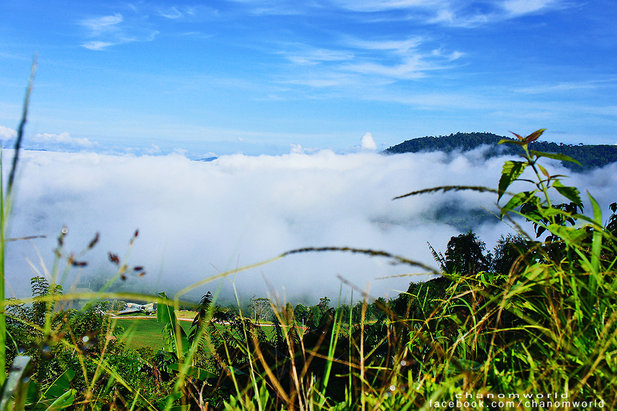 เขาค้อ – ภูทับเบิก เพชรบูรณ์