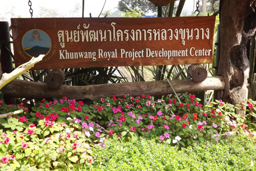 ขุนวาง ขุนวาง