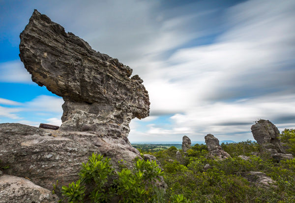 ภาพ Landscape