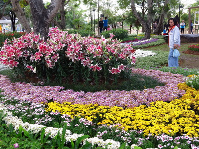 Amazing International Flower Festival in Khon Kaen 2014