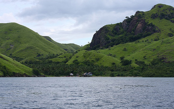 เกาะโคโมโด