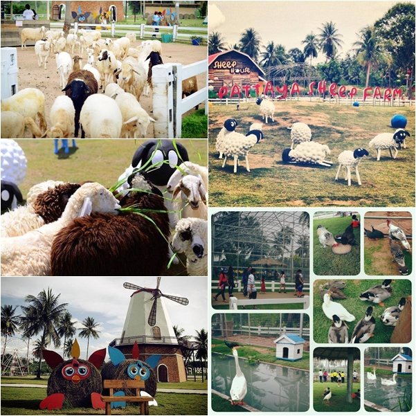 9 สถานที่ท่องเที่ยว พัทยา 9 สถานที่ท่องเที่ยว พัทยา
