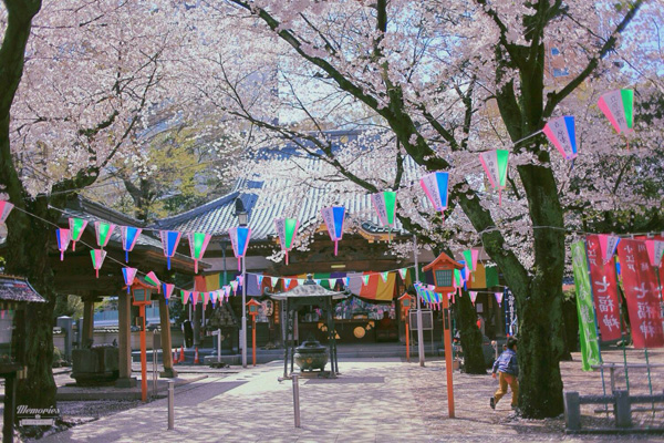 Kawagoe japan