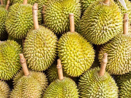 ทุเรียน ทุเรียน
