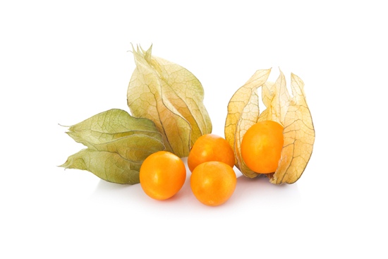 โทงเทงฝรั่ง Cape gooseberry