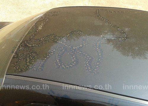 รอยพญานาคหนองคาย รอยพญานาคหนองคาย