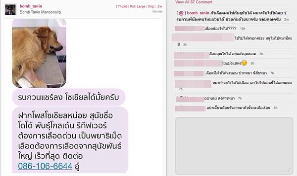 บอม ธนิน