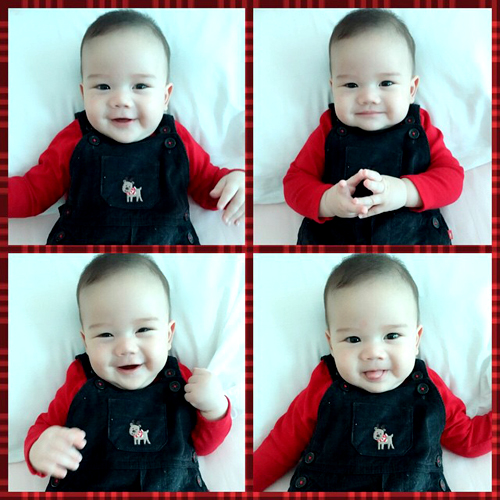 น้องแม็กซ์เวลล์ น้องแม็กซ์เวลล์