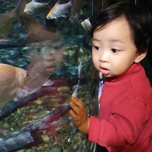 น้องข้าวหอม น้องข้าวหอม
