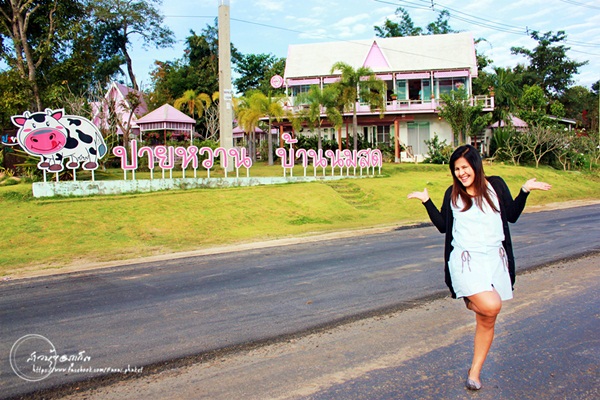 ปาย ห้วยน้ำดัง กับวันที่ฟ้าฝนเป็นใจในการเดินทาง ปาย ห้วยน้ำดัง กับวันที่ฟ้าฝนเป็นใจในการเดินทาง