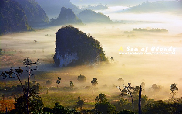 3 ความงามแห่งขุนเขา ภูลังกา ดอยแม่ตะมาน ดอยอินทนนท์ 3 ความงามแห่งขุนเขา ภูลังกา ดอยแม่ตะมาน ดอยอินทนนท์