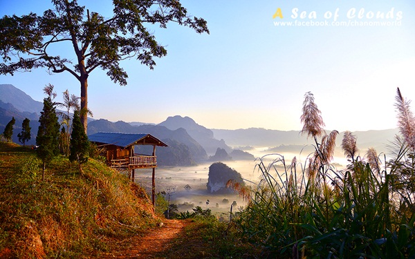 3 ความงามแห่งขุนเขา ภูลังกา ดอยแม่ตะมาน ดอยอินทนนท์ 3 ความงามแห่งขุนเขา ภูลังกา ดอยแม่ตะมาน ดอยอินทนนท์