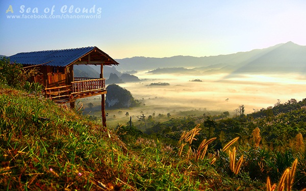  3 ความงามแห่งขุนเขา ภูลังกา ดอยแม่ตะมาน ดอยอินทนนท์