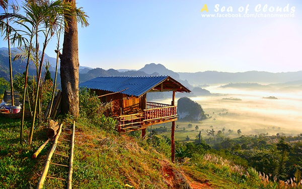  3 ความงามแห่งขุนเขา ภูลังกา ดอยแม่ตะมาน ดอยอินทนนท์