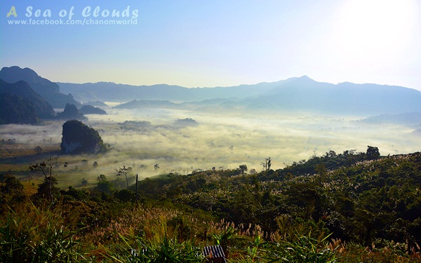  3 ความงามแห่งขุนเขา ภูลังกา ดอยแม่ตะมาน ดอยอินทนนท์