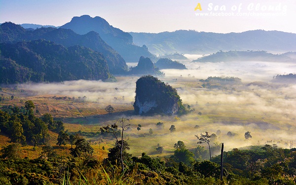  3 ความงามแห่งขุนเขา ภูลังกา ดอยแม่ตะมาน ดอยอินทนนท์