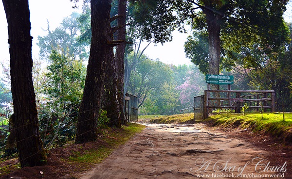  3 ความงามแห่งขุนเขา ภูลังกา ดอยแม่ตะมาน ดอยอินทนนท์